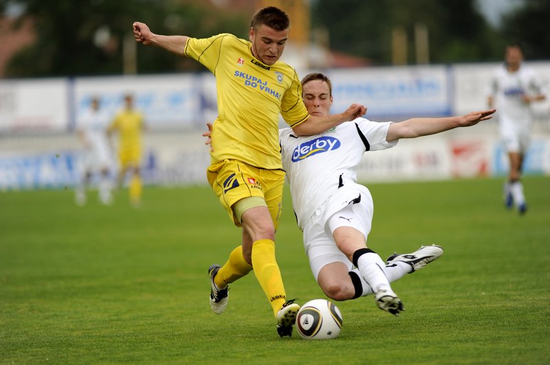 Slobodan Vuk
