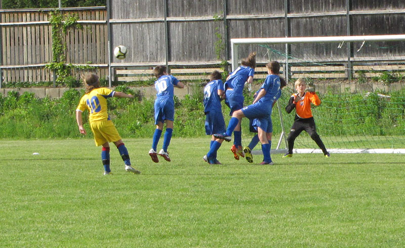 strel ce04052013