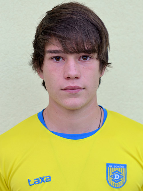 Aljo&scaron;a Gregorec