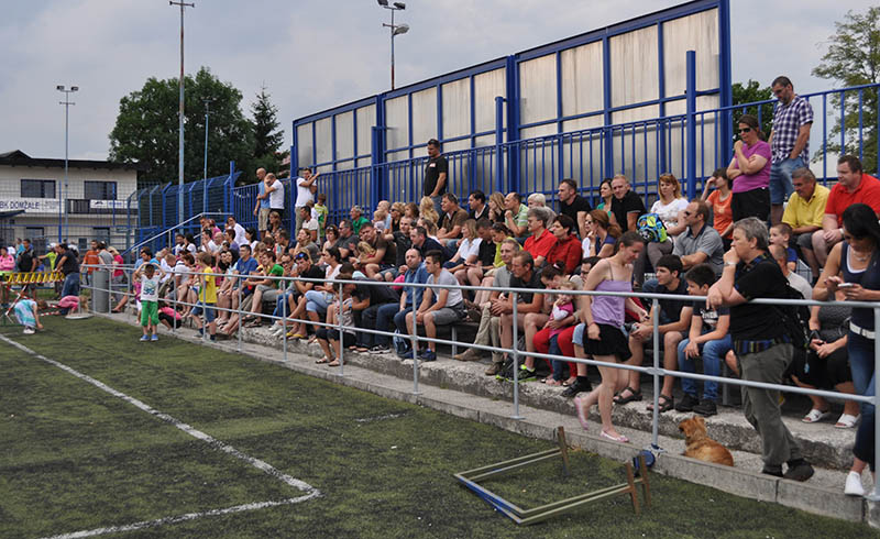 Tribuna
