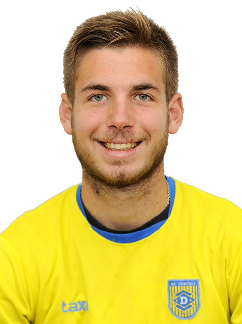 Nik Plav&scaron;ič Vajde