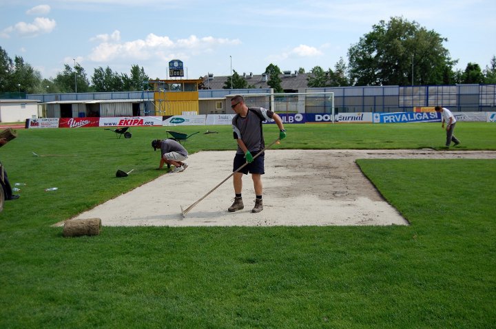 Stadion