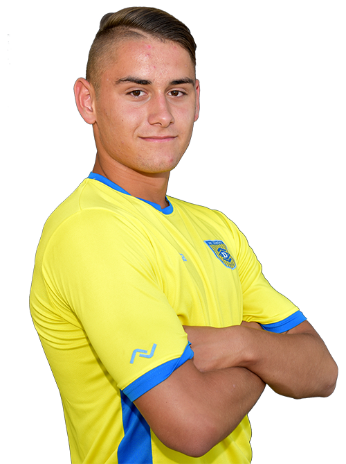 Dario Kolobarić