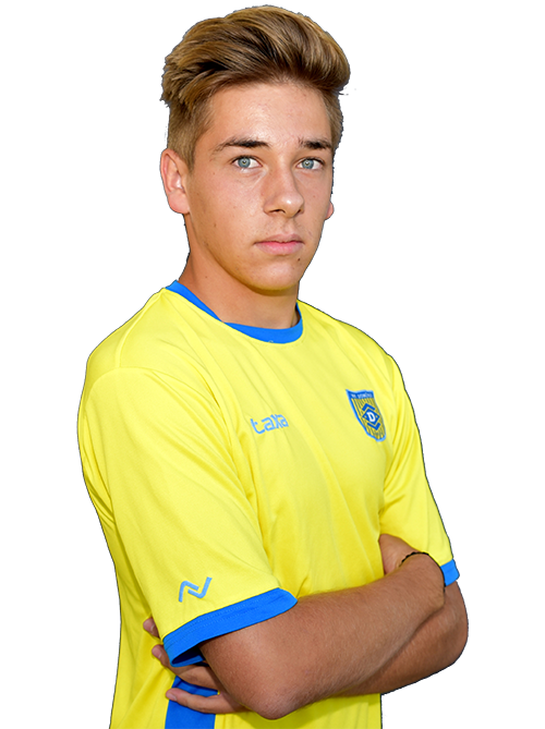 Rok Horvat