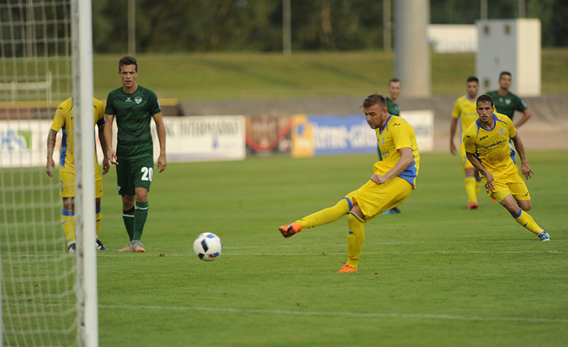 Slobodan Vuk