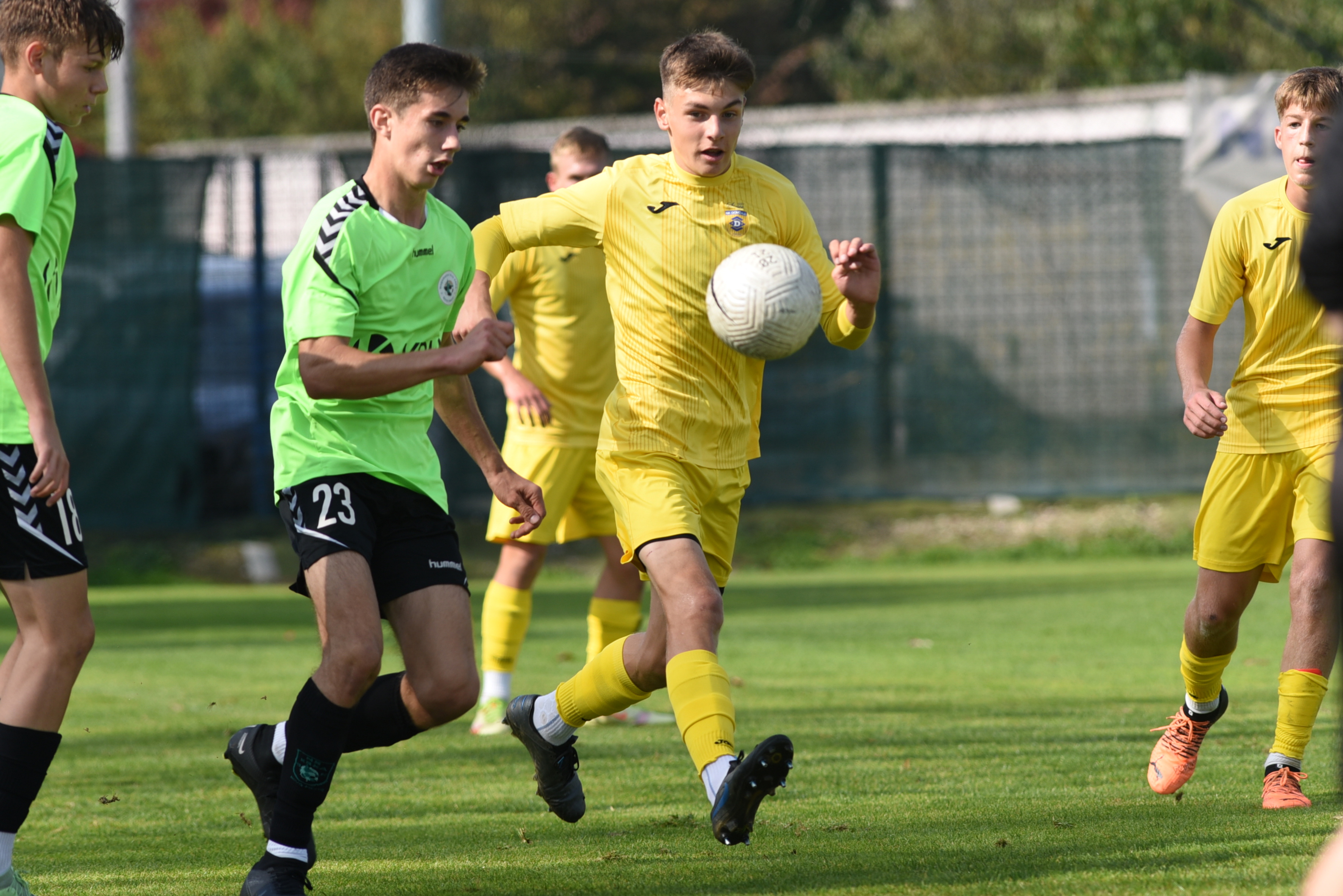DSC 99271